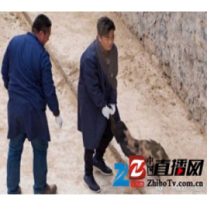 王宝强下乡抓猪是怎么回事？哪个节目？