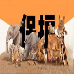 打击网络非法野生物贸易 百度将关停更多贴吧