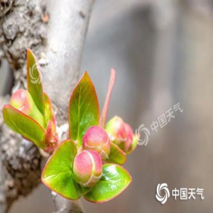 北方迎升温浪潮气温创新高 南方阴雨再袭