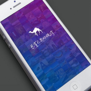 去哪儿网回应裁员：关闭Q+项目为年底正常考核