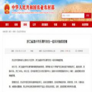 温州发生猪瘟疫情 该起疫情已得到有效处置