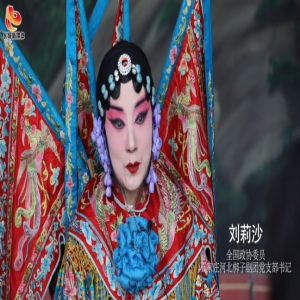 【履职这一年】访全国政协委员 刘莉沙