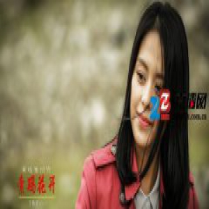 《索玛花开》首播 王力可一年三部央视女一破记录