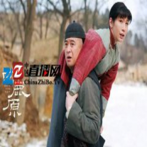 《白鹿原》收视不敌《欢乐颂》 是输给了这个时代