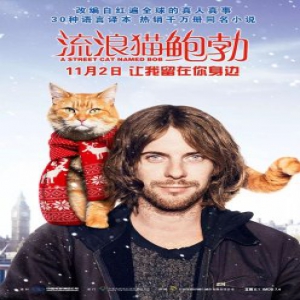 豆瓣高分力荐 电影《流浪猫鲍勃》11月2日卖萌来袭