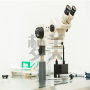 梦美:美国试管婴儿发展 剖析第三代基因筛查技术