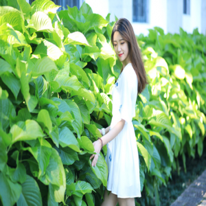 黄梵柠女版《沙漠骆驼》大火 抖音神曲现“治愈系”版