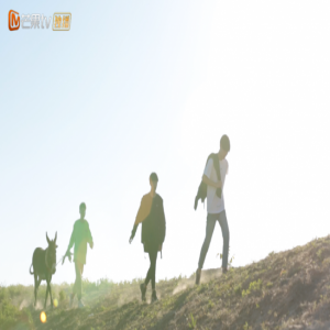 《变形计》少年竟带书变形 乖乖仔初到农村惨遭嫌弃