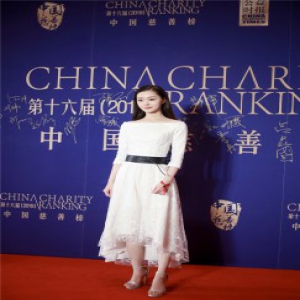 宋轶以身作则 低调投身公益事业