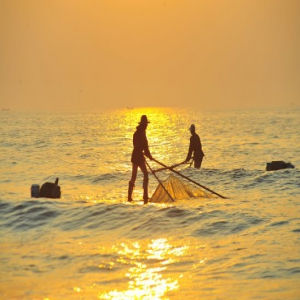 山东日照：渔民踩“高跷”捕小虾 人人都是杂技高手