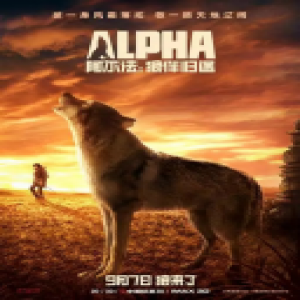 甲骨易再添翻译新作，《阿尔法：狼伴归途》远古探秘