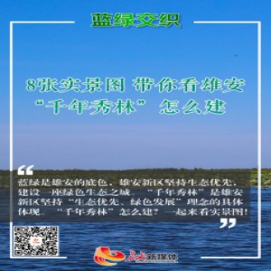【实景图解】带你看雄安“千年秀林”怎么建