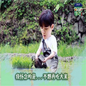尤长靖《向往的生活》插秧摘菜积极认真