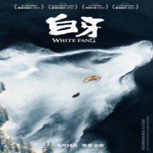 治愈系动画《白牙》今日暖心上映