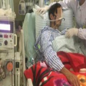 为吃蜂蛹捅马蜂窝 两男子被蛰惨一个去世一个住进ICU