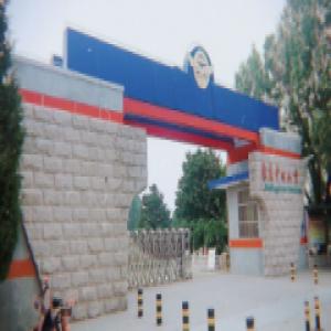 阳光兔世界杯献礼：在线一对一辅导公益送课进行中