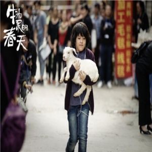 《牛油果的春天》入围上影节