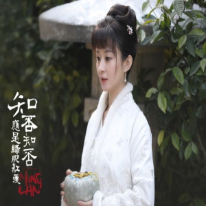 《知否》首播成绩喜人 生活流古装展现人间烟火