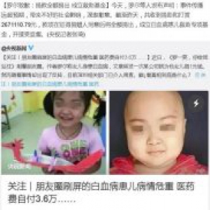 罗尔致歉:267万捐款全额捐出 成立救助基金