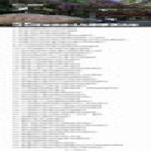 107家A级景区被摘牌 包括55家4A级景区