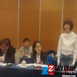 鲁豫参加文联大会 对电视事业充满热情