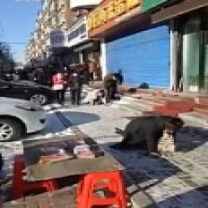 吉林一蛋糕店因业绩不佳 老板员工当街跪爬引围观