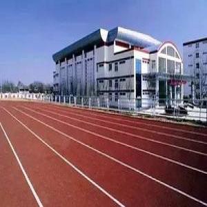 研究报告：大多数国际学校学生父母非海归