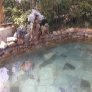男子约女网友去巢湖半汤泡温泉 竟在景区将其强奸