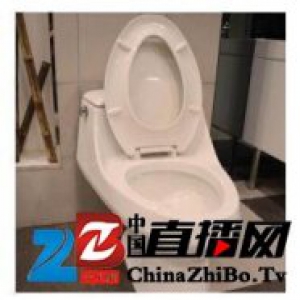 卫浴推荐——马桶什么牌子质量好