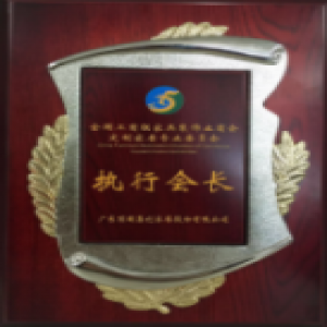 顶固斩获行业奥斯卡两大殊荣