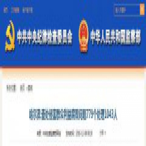 哈尔滨:查处侵害群众利益腐败问题779个处理1043人