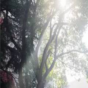 SUFE·图志 | 校园晨曲