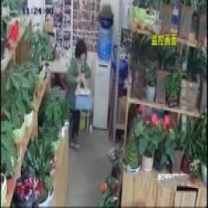 湖南一县出租幼童参与盗窃成风：5万元一年 多人“致富”