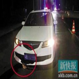 深夜女子车底现血淋淋断肢 珠海交警：醉汉被拖行1.7公里