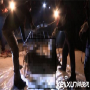 铁笼沉尸案主犯死刑 揭震惊社会的绑架杀人案始末