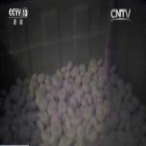 央视曝西安毒口蘑用三种药水美白 已上超市货架