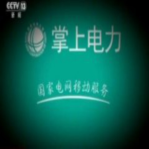 信息泄露已无死角 1年间网民人均经济损失133元