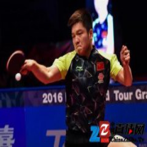 樊振东成东京奥运周期国乒新核心 年仅19岁