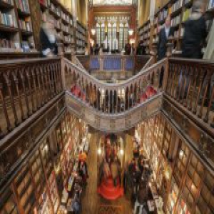 魔法般的莱罗书店