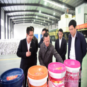 岳阳市委书记胡忠雄调研岳阳东方雨虹