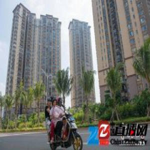 上海楼市“11·28”新政“半月谈”：最受伤的是刚需？