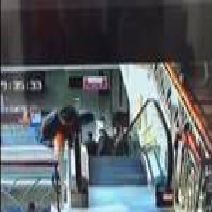 网传男子因妻子买貂跳楼 警方：系抑郁症自杀