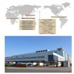 爱丽思“双十二”再传捷报！