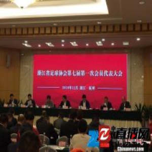 浙江省足协换届 宋卫平任顾问