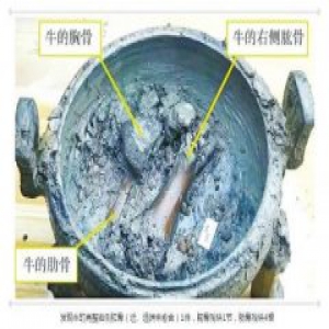 信阳古墓出土"牛肉汤"续:牛骨来自小牛 或为熟肉