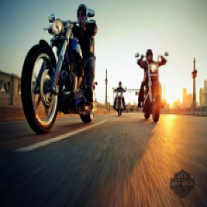 【欧洲案例】奥地利KAIDNL凯得地板上驰骋的哈雷战车