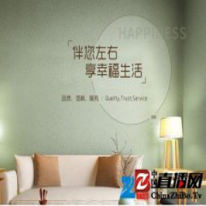 SKK高端壁材 让家成为温馨港湾