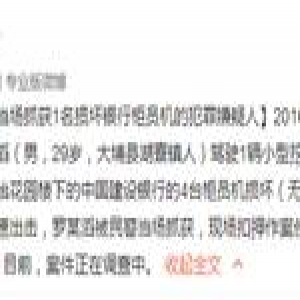 广东：男子清晨开挖掘机抢银行 当场被擒