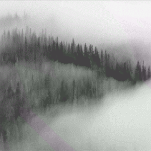 一大波雾霾袭来，北方人在家该咋办？