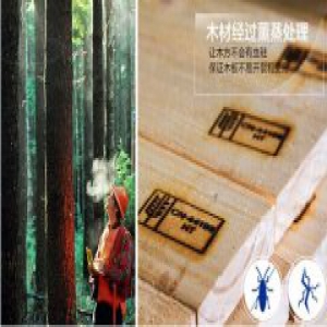 抗击雾霾 芝华仕一直在行动